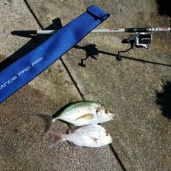 Akios Endurance Pro RS2 Dual Tip 14ft Surf Rod 3 Piece 112-225 Gram