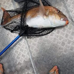 Catch Pro Series Softbait Spin Rod 7ft 3in 2 Piece 4-8 Kg