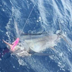 Richter Lures Soft Oscar 10