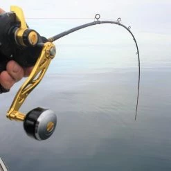 Boat Fishing Catch JGX2000 Pro Series Jigging Reel 20kg Drag