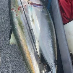 Rods Catch Pro Series Kensai Slow Pitch Spin Jigging Rod 6ft 3in 1 Piece 80-150 Gram