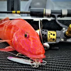 Catch Pocket Rocket Tungsten Micro Jig - Shady Lady Lures, Jigs & Rigs