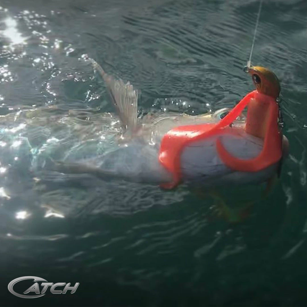 Catch Water Wings UV Treated Lure Attractant - Pack Of Two