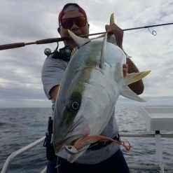 Catch Stingaz Tenya Softbait Jig Heads (1/4 - 1 Oz)