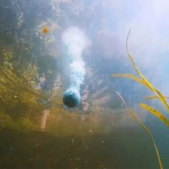 BaitCloud InLine Panfish Formula - 3 Pack Boat Fishing