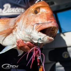 Lures, Jigs & Rigs Catch Beta Bug Ballistic Blue Inchiku Lure (20-200g)