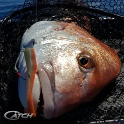 Catch Softbait Value Pack With Tackle Box