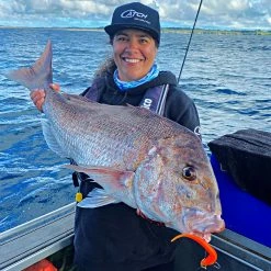 Soft Baits Catch Black Label Livies Softbait 5 Or 7