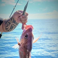 Catch Double Trouble Black Ninja Jig (60g-300g