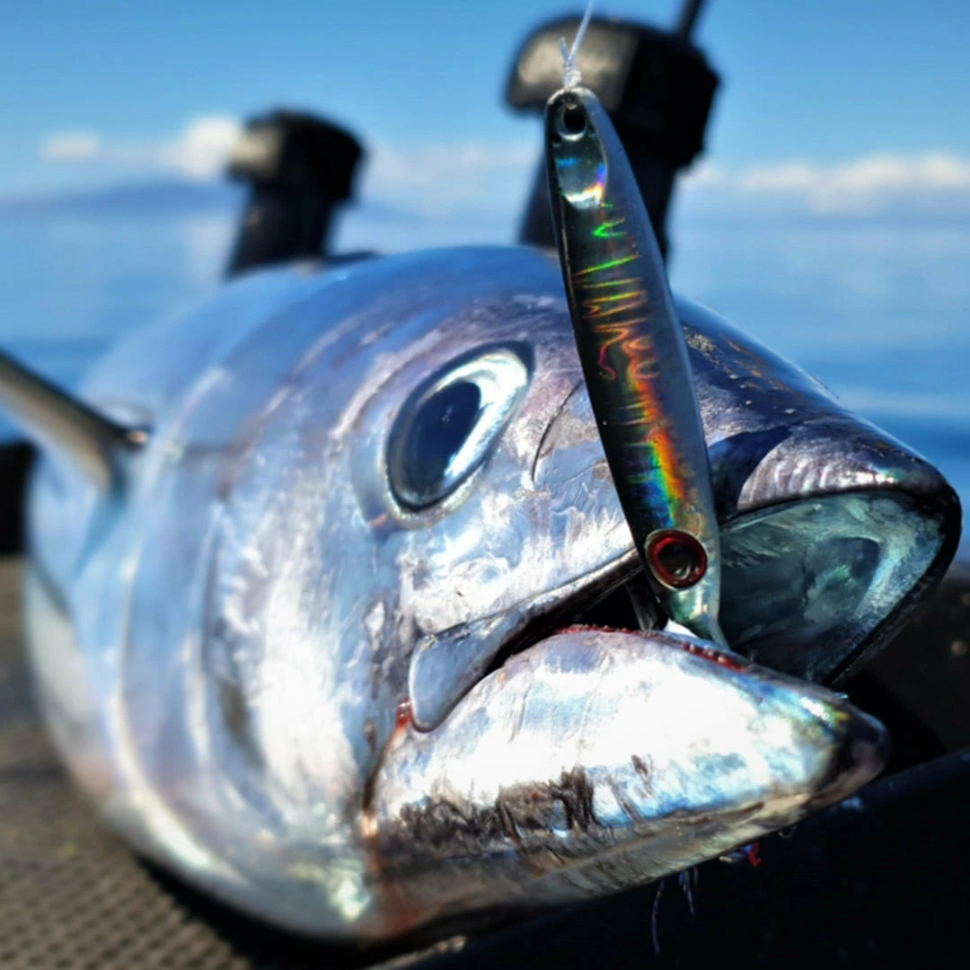 Catch Pocket Rocket Tungsten Micro Jig - Ballistic Blue