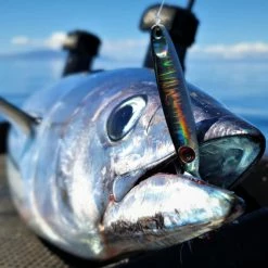 Catch Pocket Rocket Tungsten Micro Jig - Shady Lady Lures, Jigs & Rigs