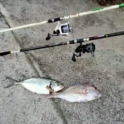 Akios Airtorque 435 Surf Rod 14ft 5in 3 Piece 100-220 Gram