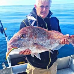 Catch Black Label Livies Softbait 5 Or 7